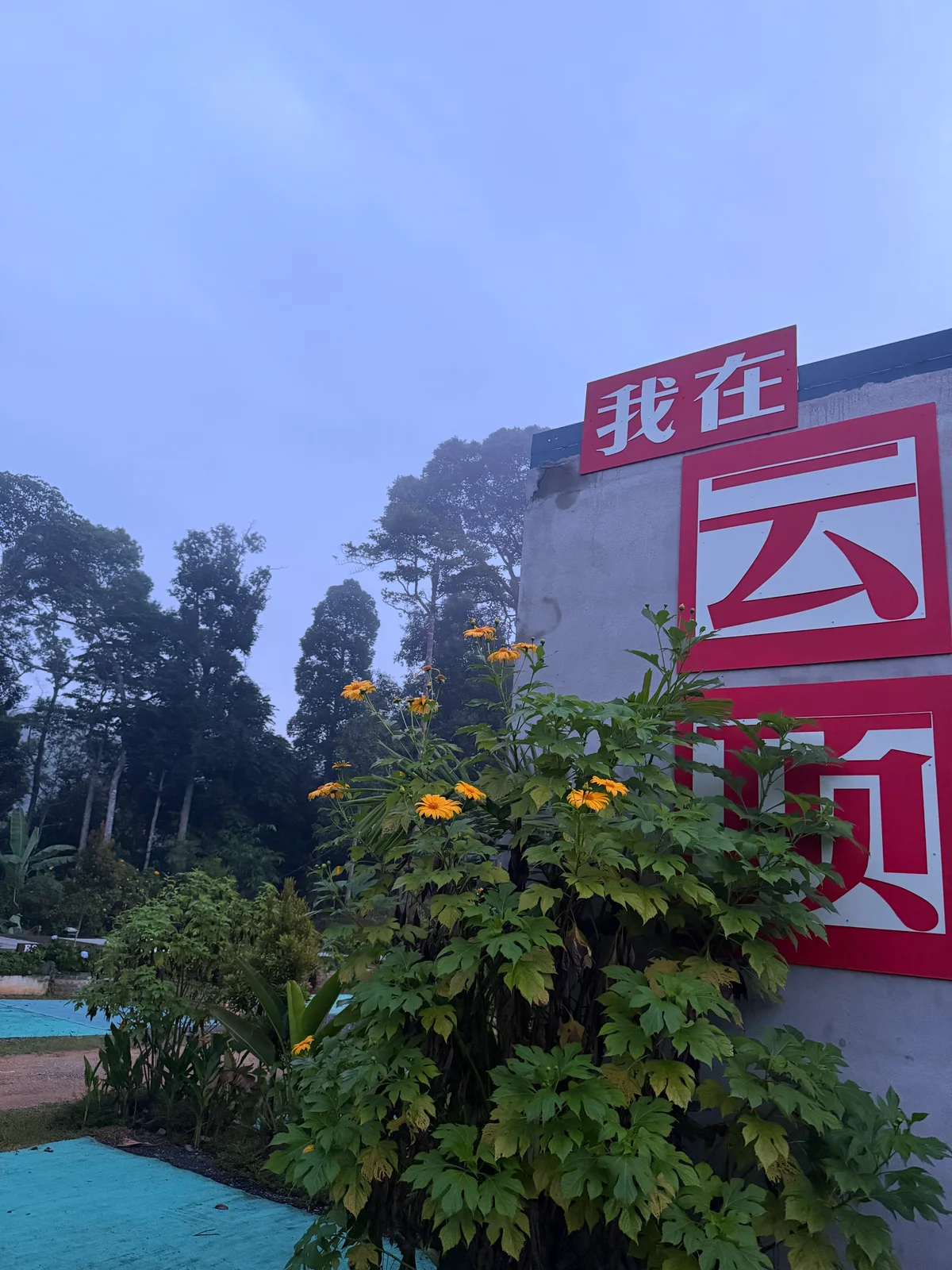云顶半山露营⛺️ 图片 6