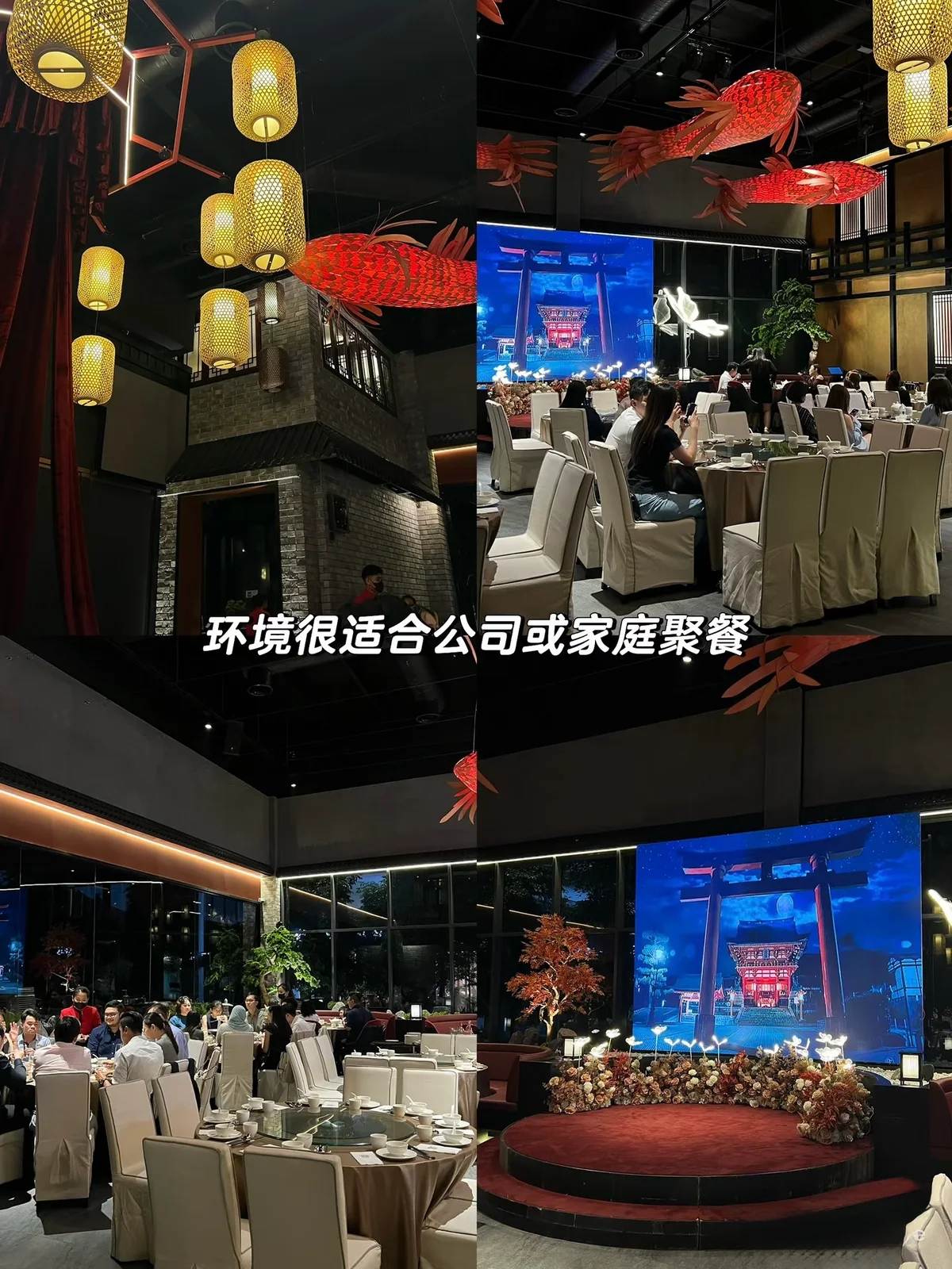 The Qing 图片 4