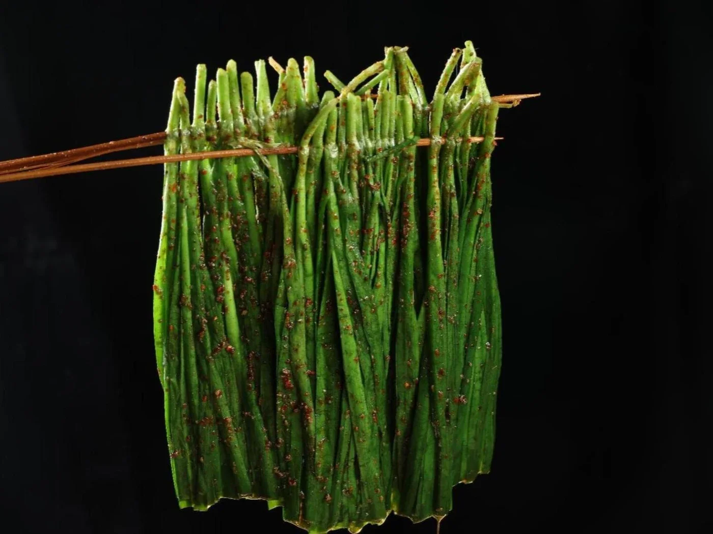 韭菜（Chives）3串