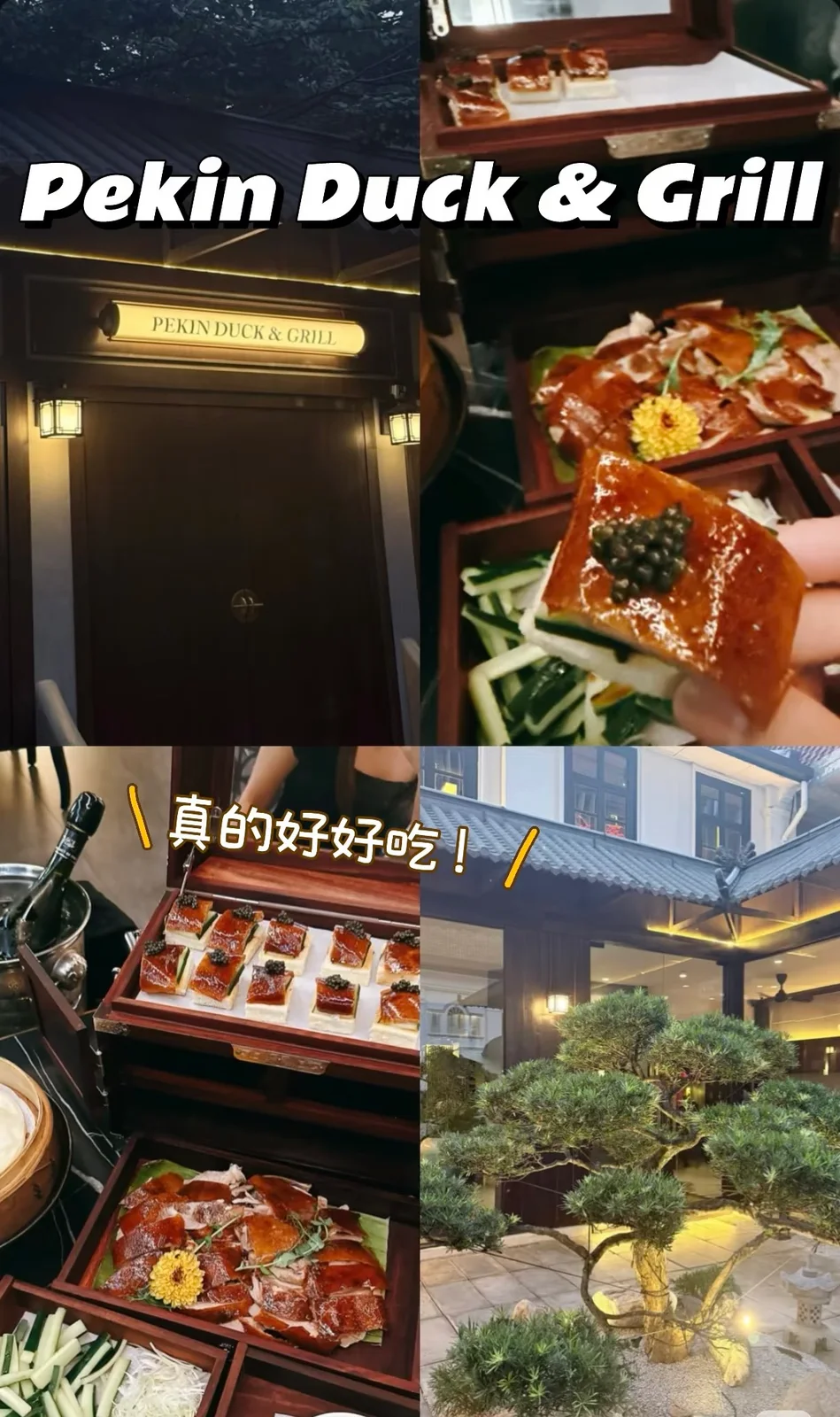 图片 5