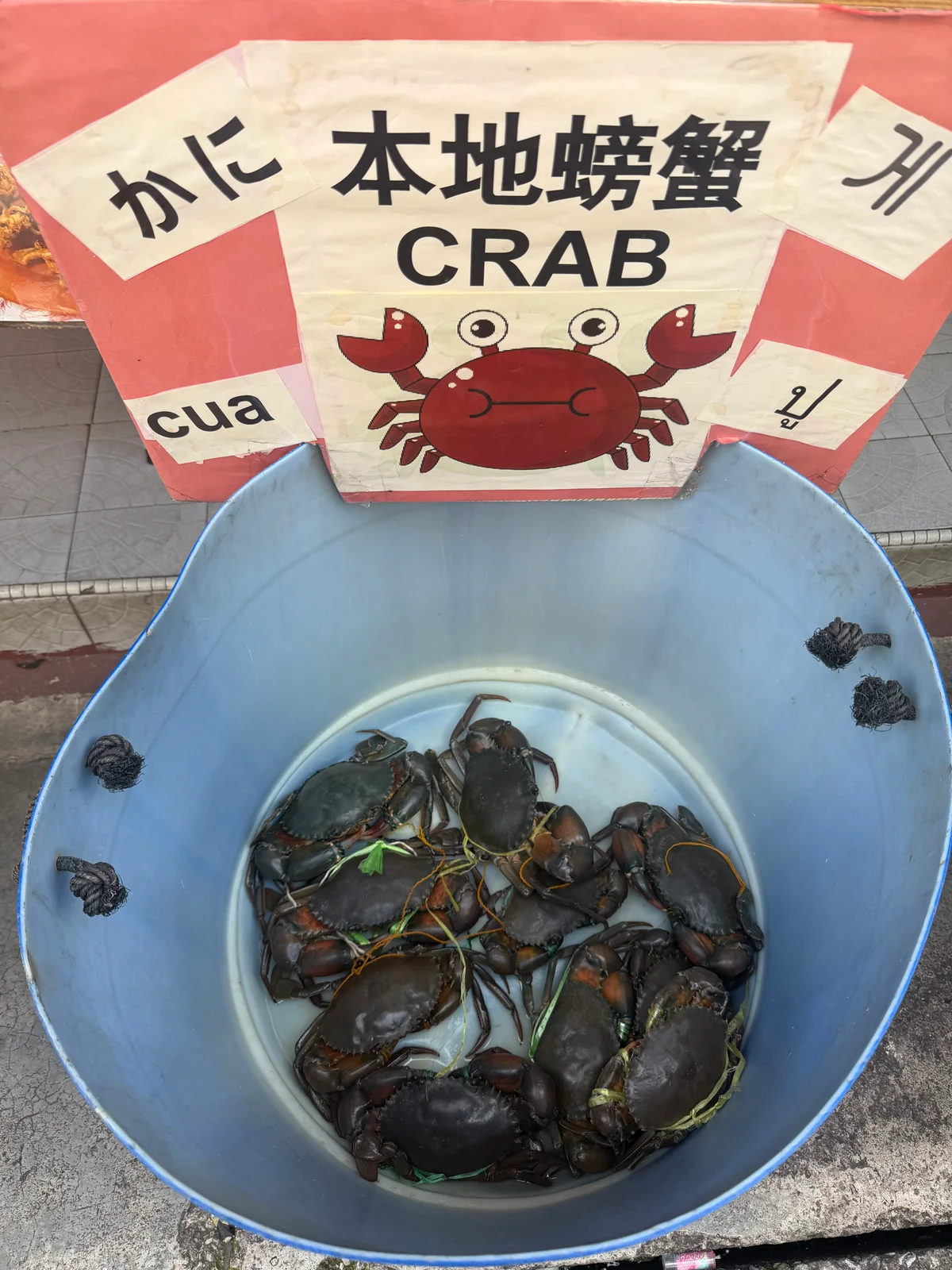 吉胆岛一日游！ 图片 9